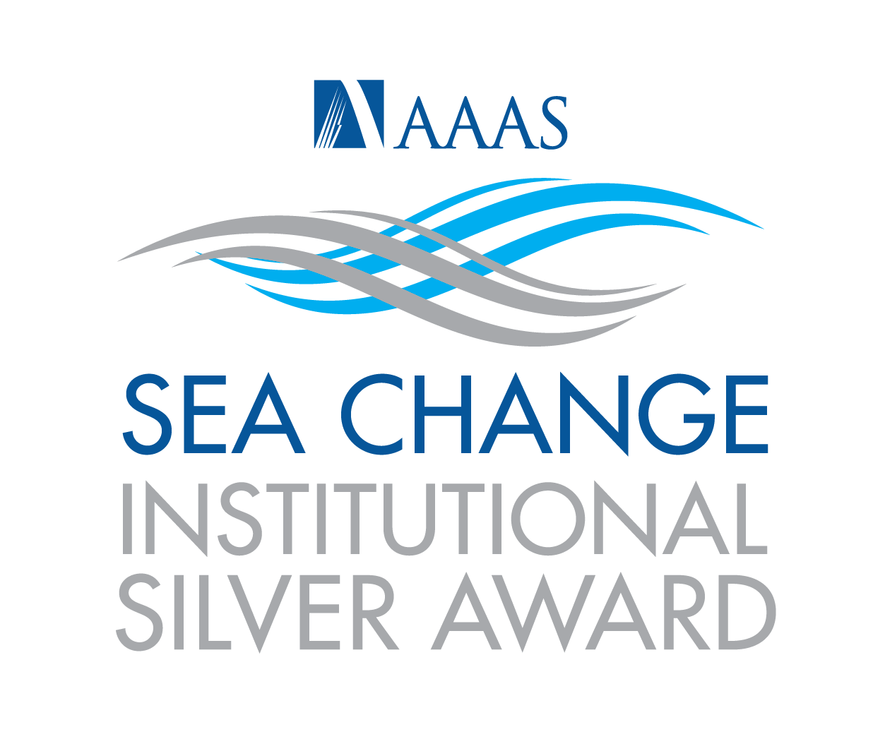 SEA Change Silver Award logo
